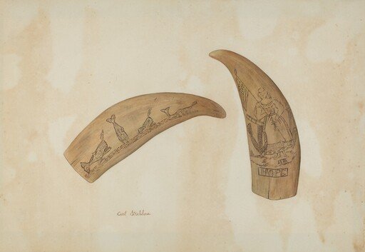 Whale's Tooth