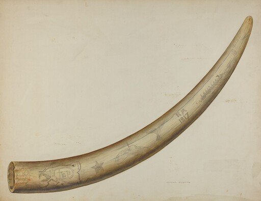 Scrimshaw: Walrus Tusk