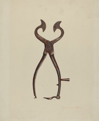 Sugar Cutter