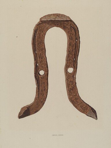Skid Shoe for Horse