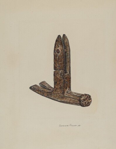 Hammer Head