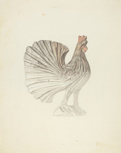 Rooster