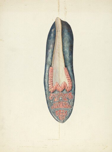 Evening Slipper