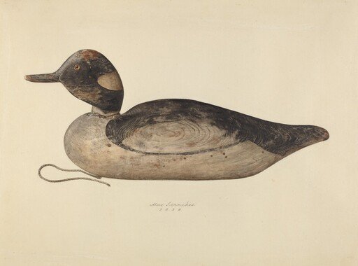 Duck Decoy