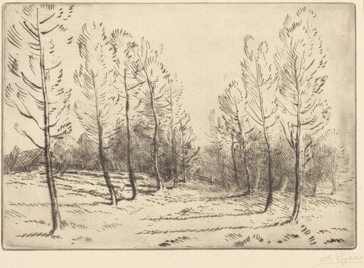 Avenue of Poplars (L'allee de peupliers)