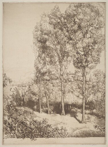 Sunlight and Shadows, No. 3