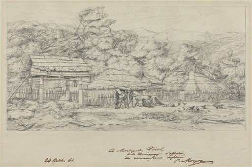Greniers indigenes et habitations a Akaroa, presqu'Ile de Banks