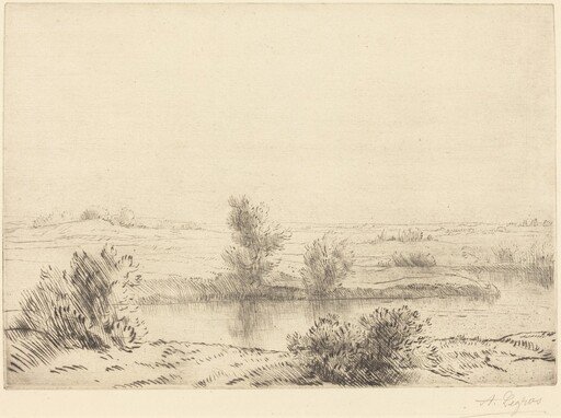 Marsh (Les marais)