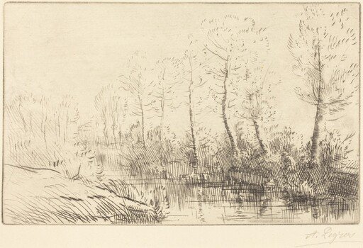 Birch Trees: Water's Edge Seen in Morning Light (Les bouleaux: Bord de l'eau, effet du matin