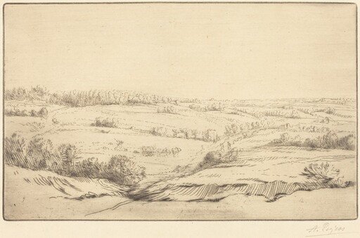 Plain (La plaine)