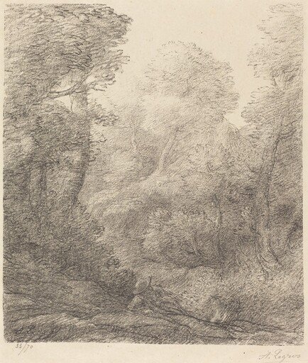 Landscape: Morning Mist (Paysage: Brumes du matin)