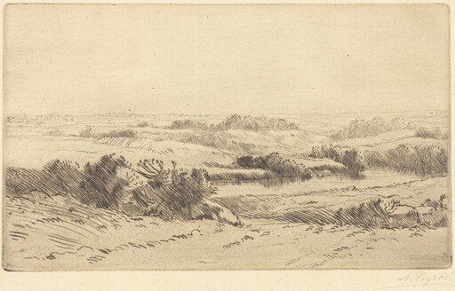 Banks of the Yanne (Les bords de la Yanne)