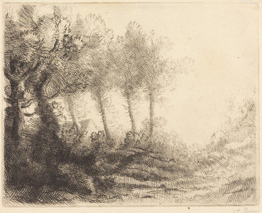 Landscape (Paysage)