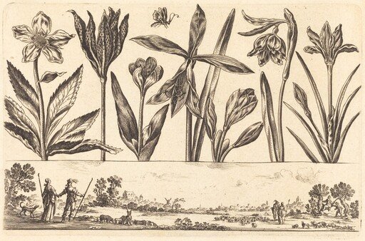 Flower Print no.4