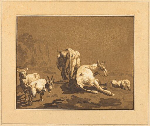 Cows