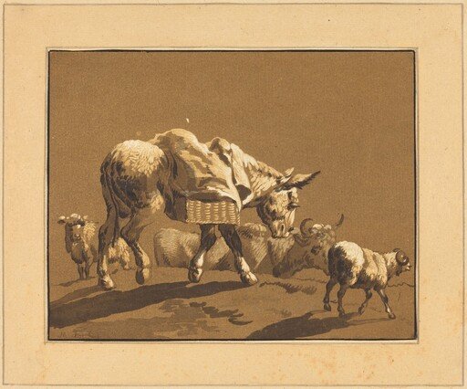 Donkey