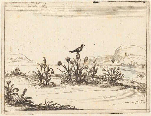 Bird Perched in a Thistle