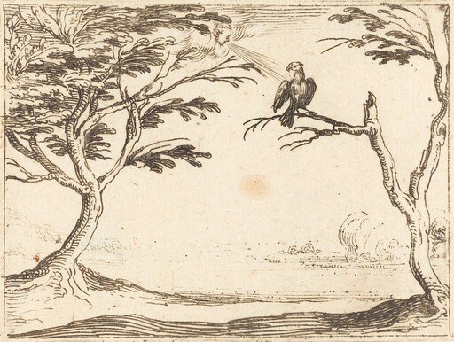 The Vulture