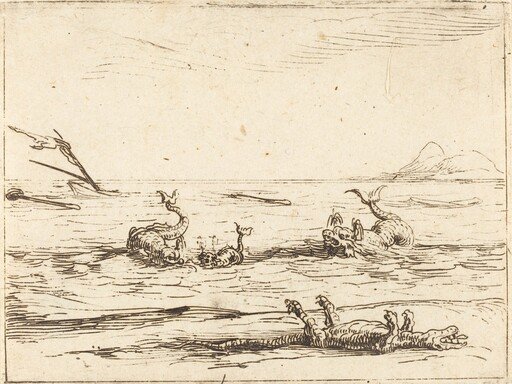 Dolphins and Crocodile