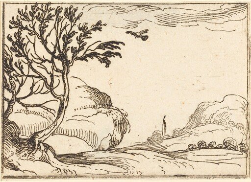 Turtle Dove Flying in the Desert
