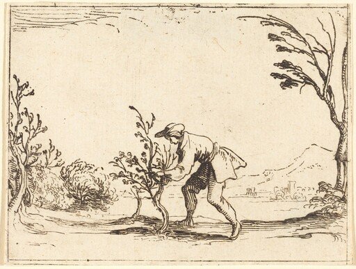 Man Cutting a Balm-Tree