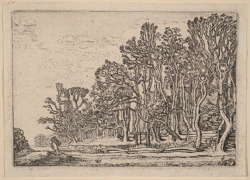 Two Plank Hedges
