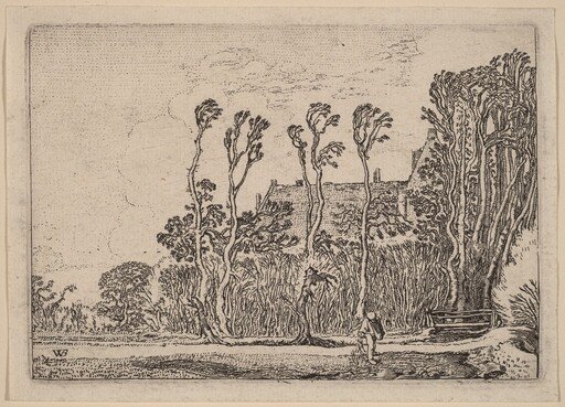 The Sower