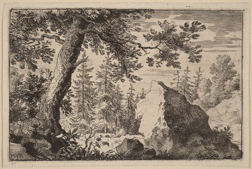 Boulder in the Woods