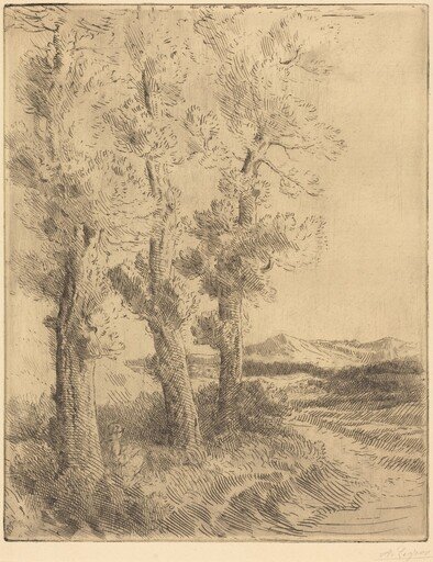 Woman Reading: Lesson under the Trees (La liseuse: La lecture sous les arbres)