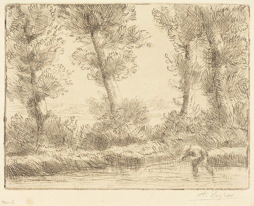 Banks of the Liane (Les bords de la Liane)