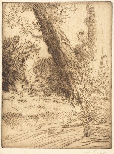Edge of a Brook (Bord de ruisseau)