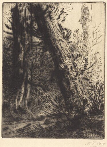Edge of a Brook (Bord de ruisseau)