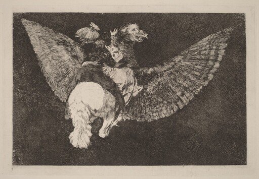 Disparate volante (Flying Folly)