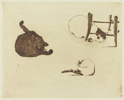 The Cats (Les chats)