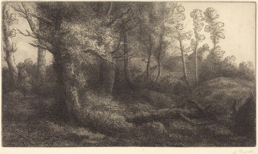 In the Forest (Lisiere de foret)