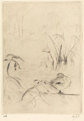 Ducks at Rest on the Bank