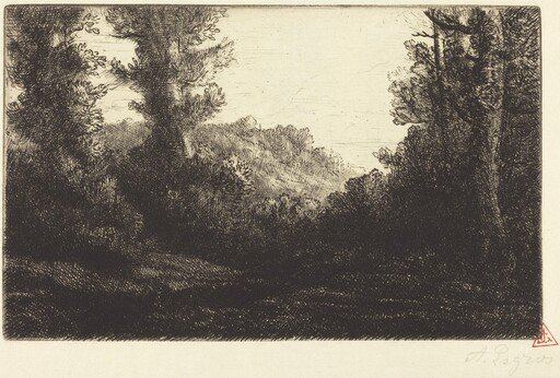 Edge of a Wood (Lisiere de bois)