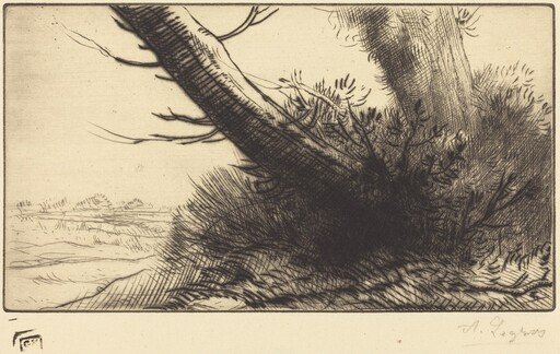 Corner of a Path (Au coin d'un chemin)