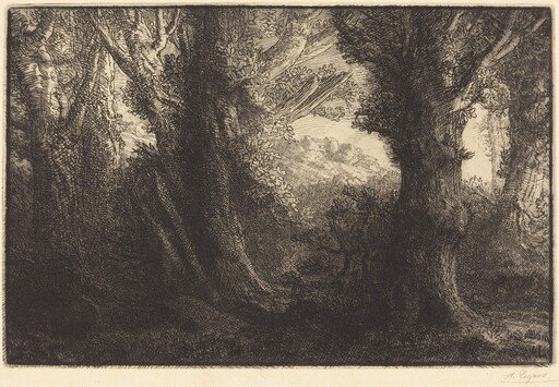 In the Forest of Conteville  (Dans la foret de Conteville)