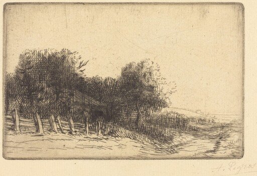 Landscape (Un paysage)