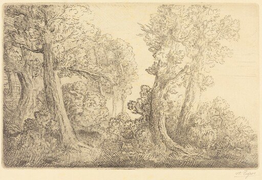 Near the Woods, Veronne (Pres du bois, Veronne)
