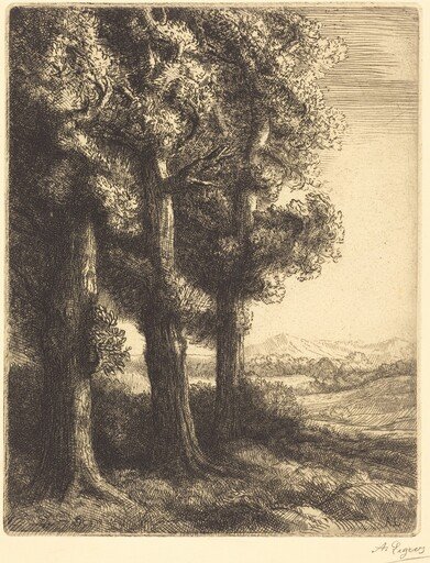 Corner of a Wood (Coin d'un bois)