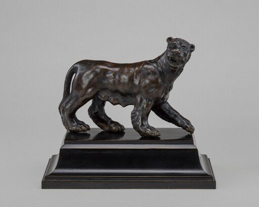 Pacing Female Panther