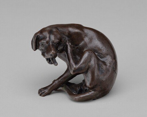 A Dog Scratching