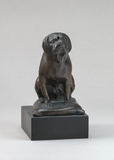 A Dog