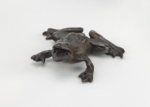 A Frog