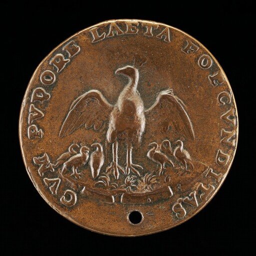 Peahen with Six Chicks [reverse]