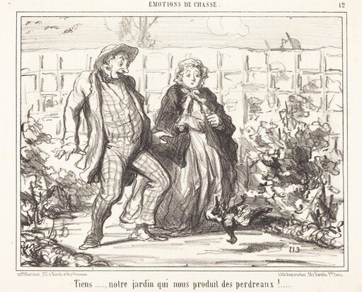 Tiens... notre jardin... produit des perdreaux!...