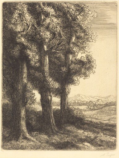 Corner of a Wood (Coin d'un bois)