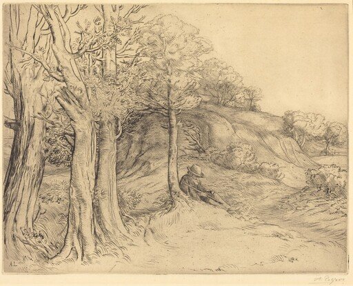 Solitude (Solitude (Paysage))